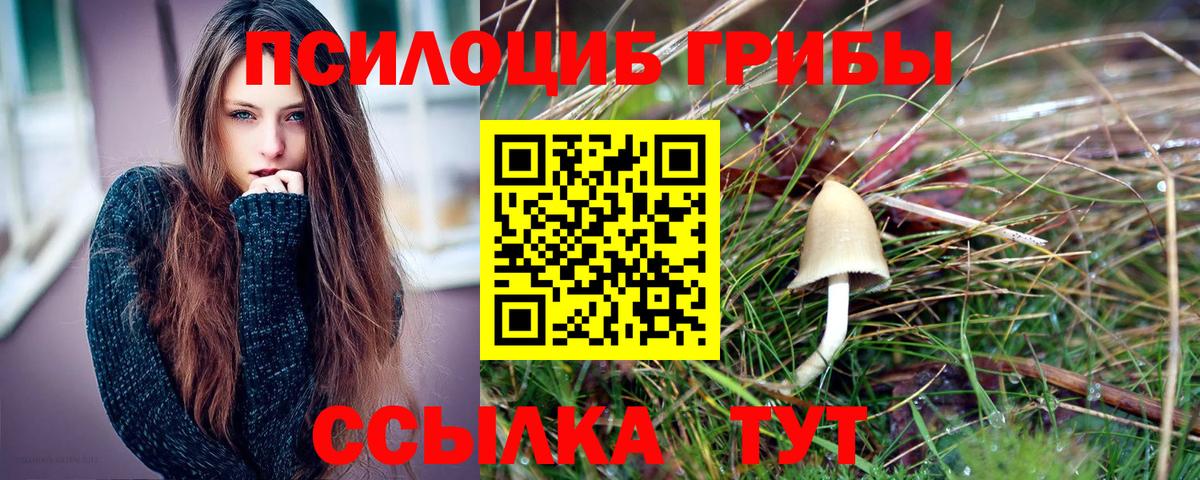 Псилоцибиновые грибы MAGIC MUSHROOMS Северск