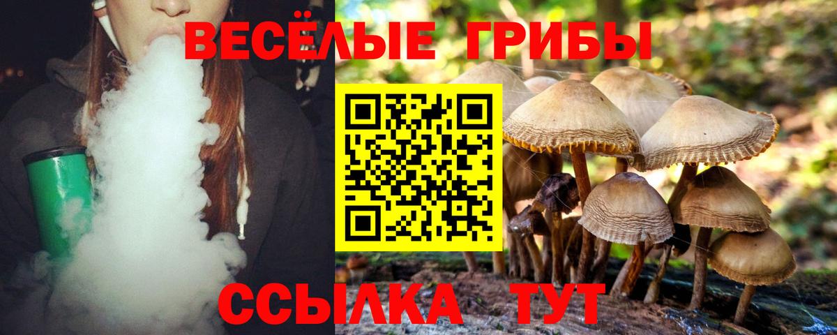 Северск  Галлюциногенные грибы прущие грибы  продажа наркотиков  Вход с VPN 